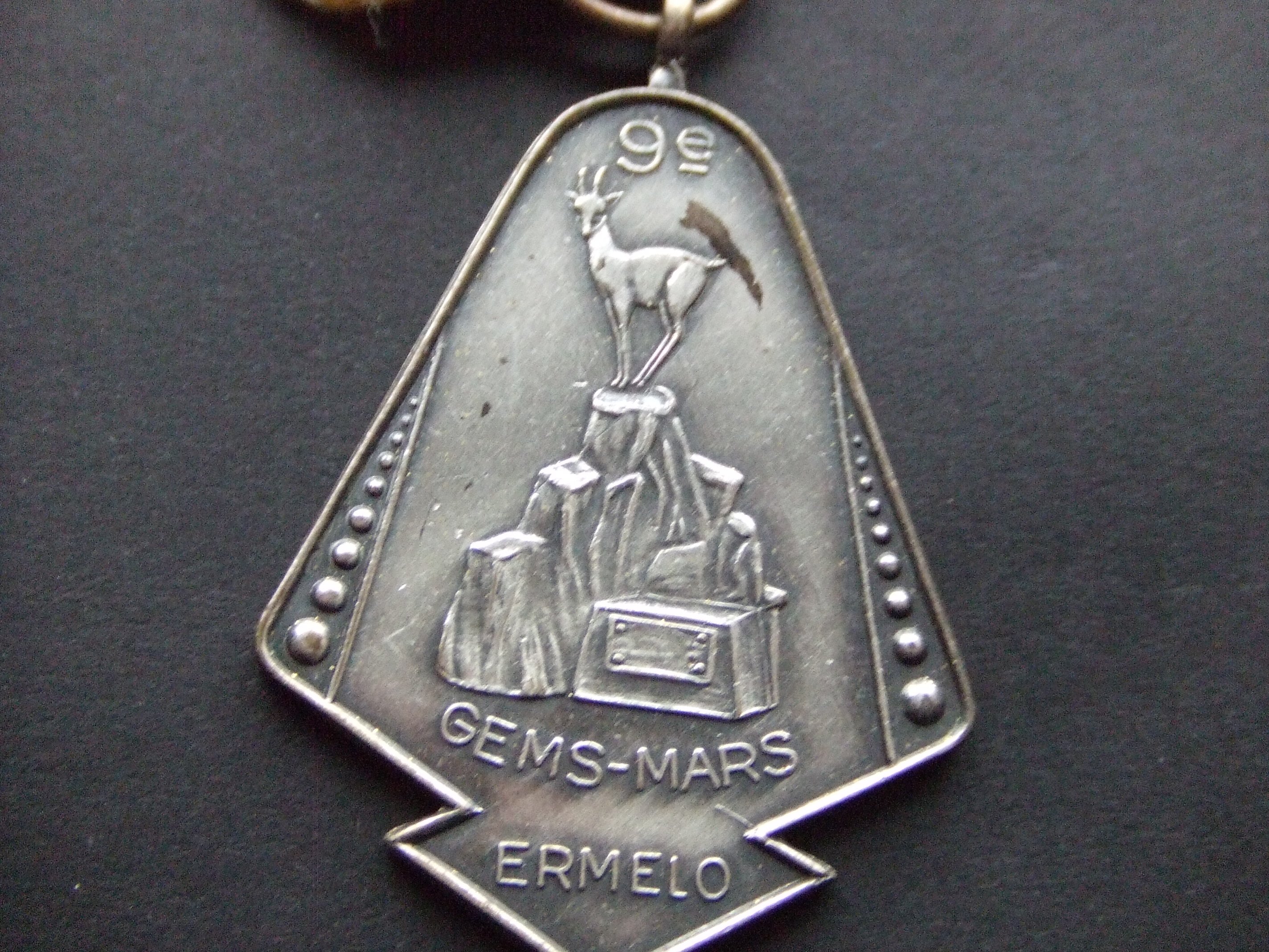 Ermelo op de Veluwe Gelderland 9e Gems mars wandelen